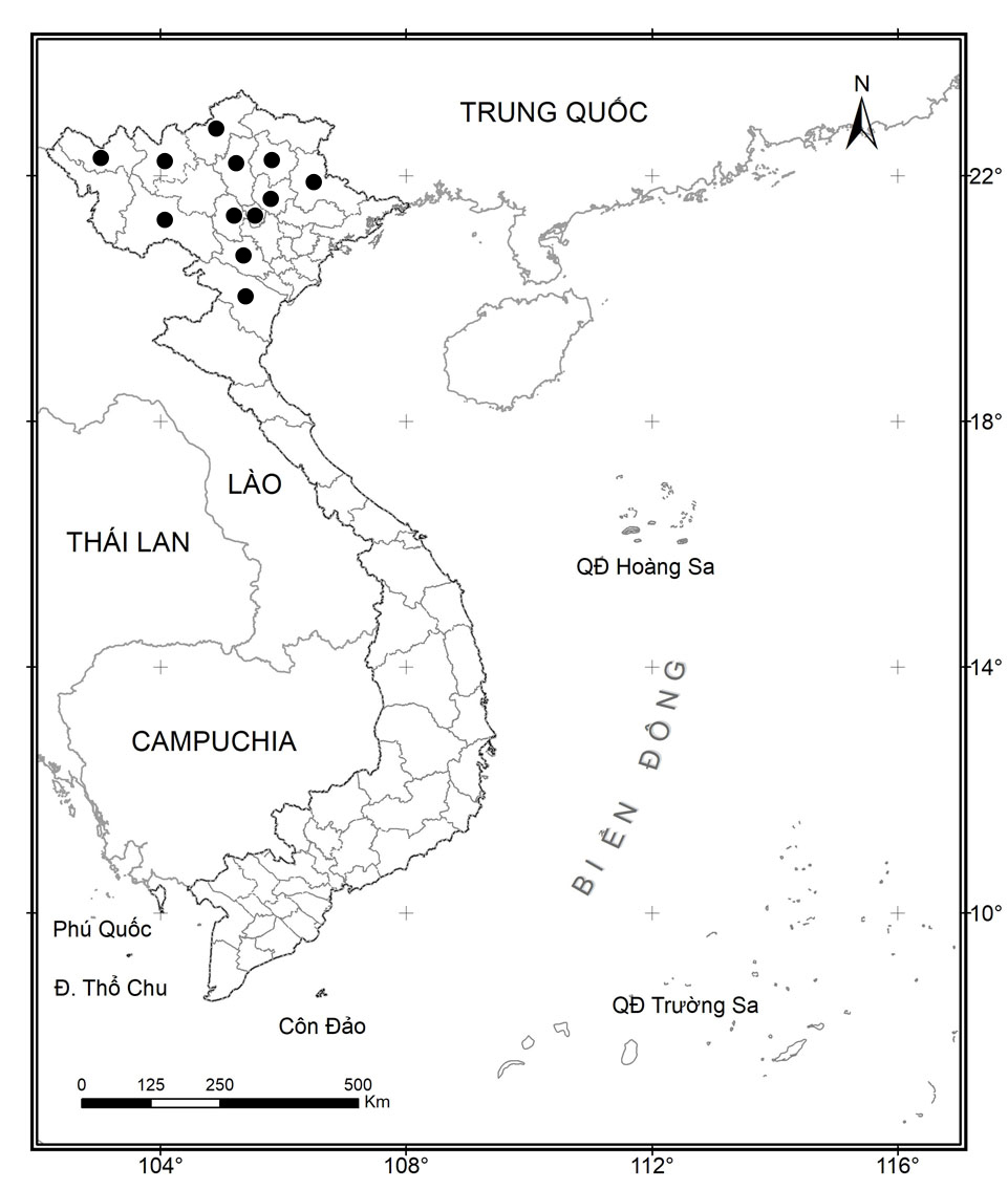 Belomys pearsonii DANH LỤC ĐỎ VIỆT NAM